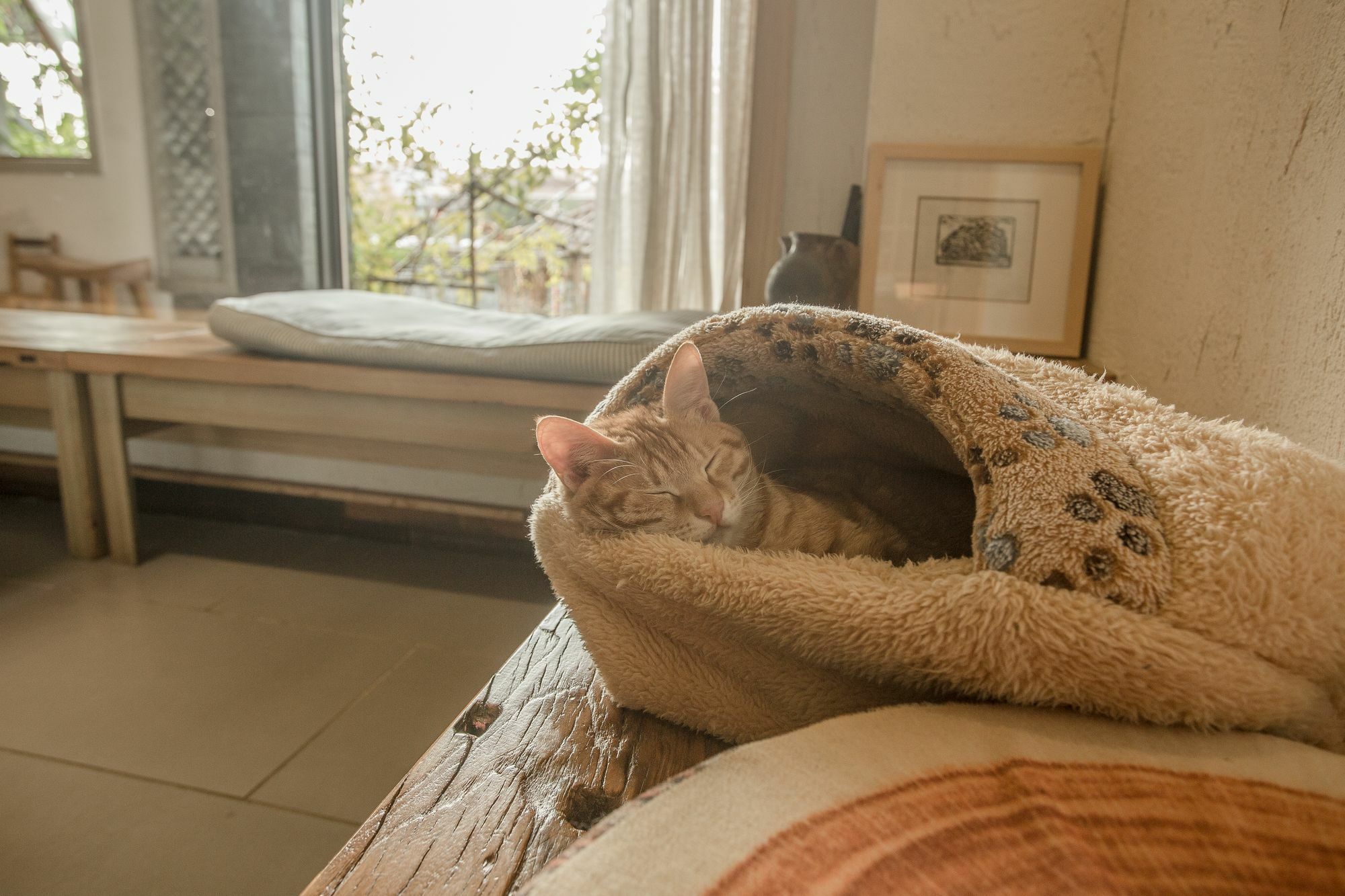 เซน ทีเฮาส์ กุ้ยหลิน เซเว่นสตาร์พาร์ค Bed & Breakfast ภายนอก รูปภาพ